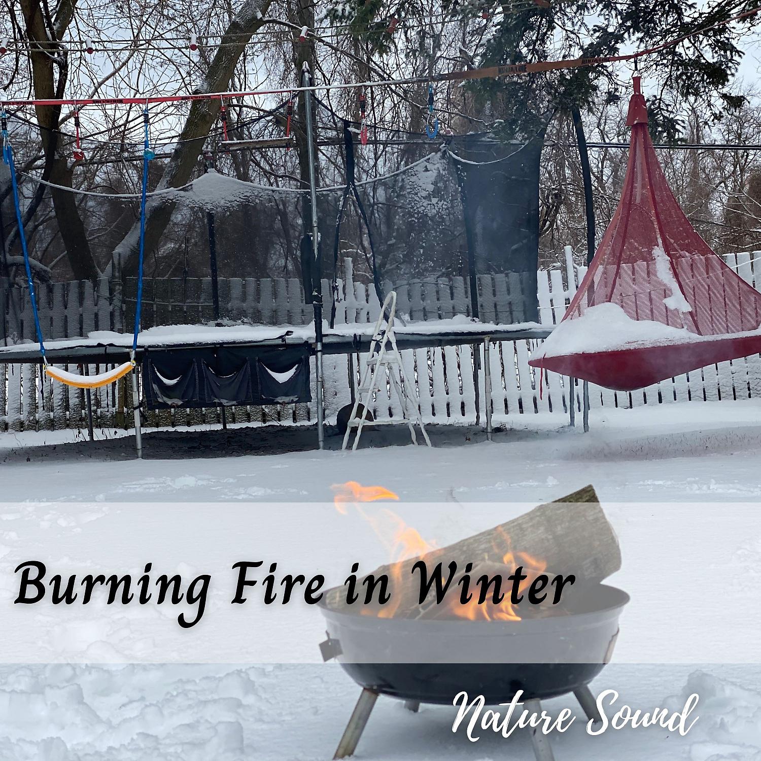 Постер альбома Nature Sound: Burning Fire in Winter