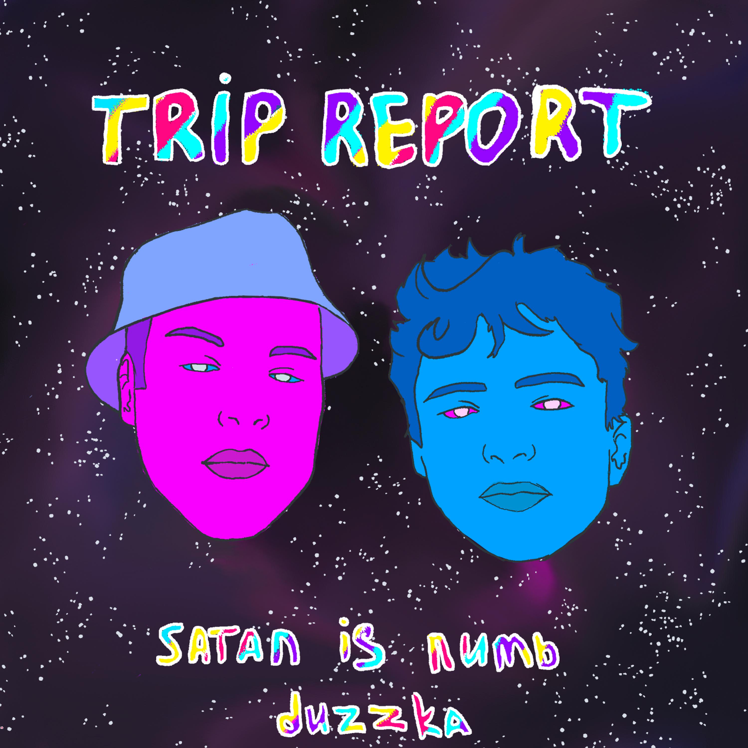Постер альбома Trip Report