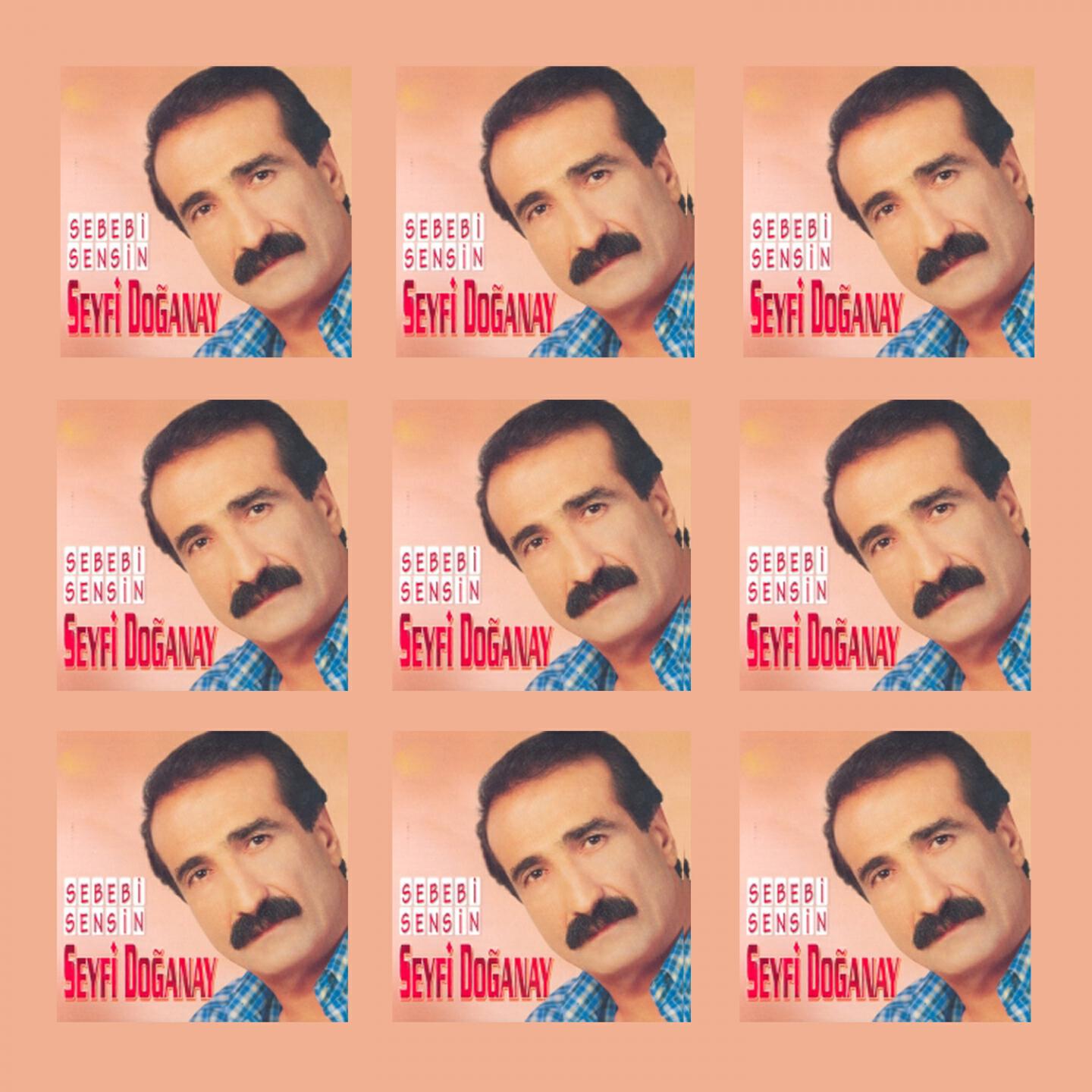 Seyfi Doğanay - İçtim