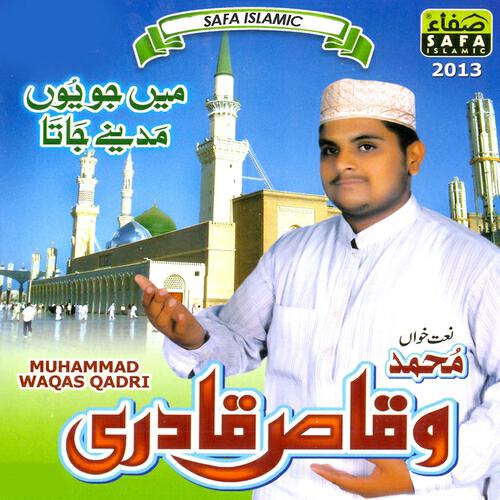 Muhammad Waqas Qadri - Hum Ko Garz Nahi Nai
