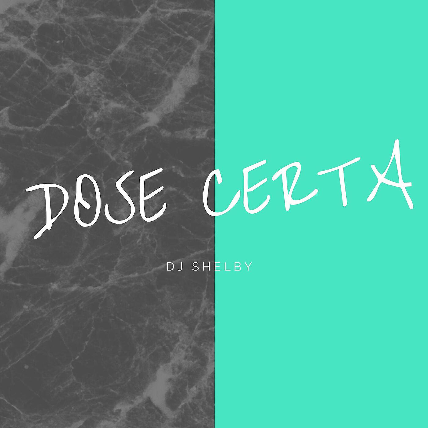 DJ SHELBY - Dose Certa
