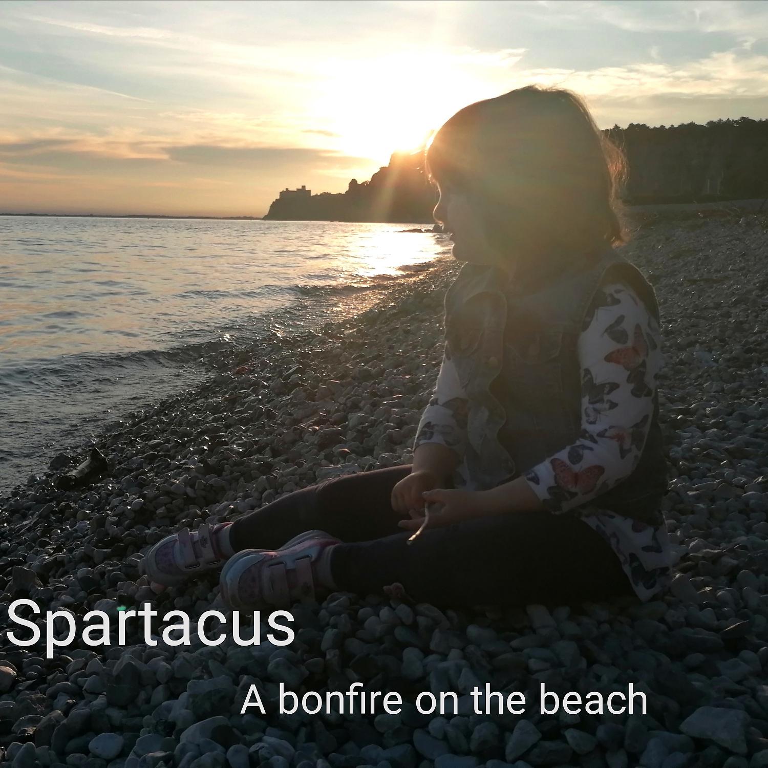 Постер альбома A bonfire on the beach