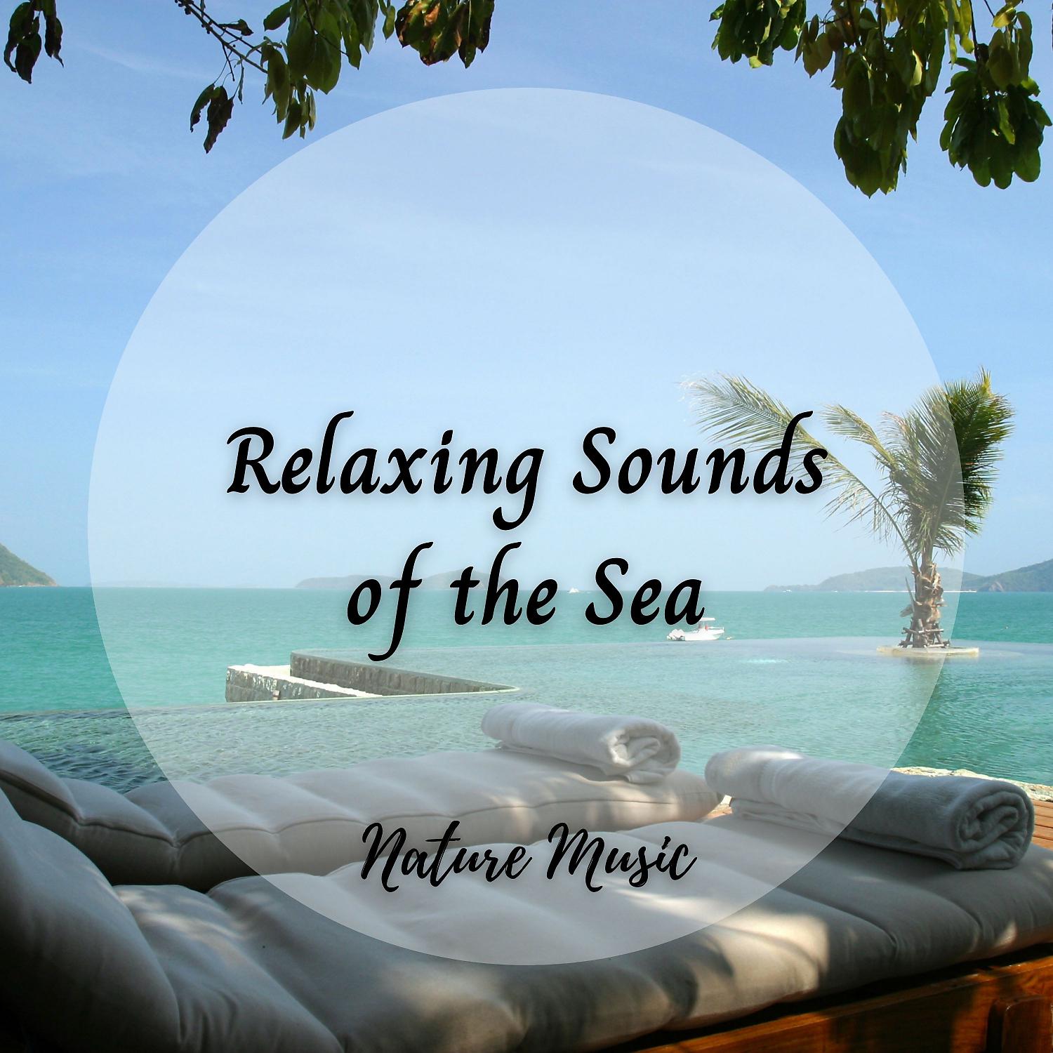 Постер альбома Nature Music: Relaxing Sounds of the Sea