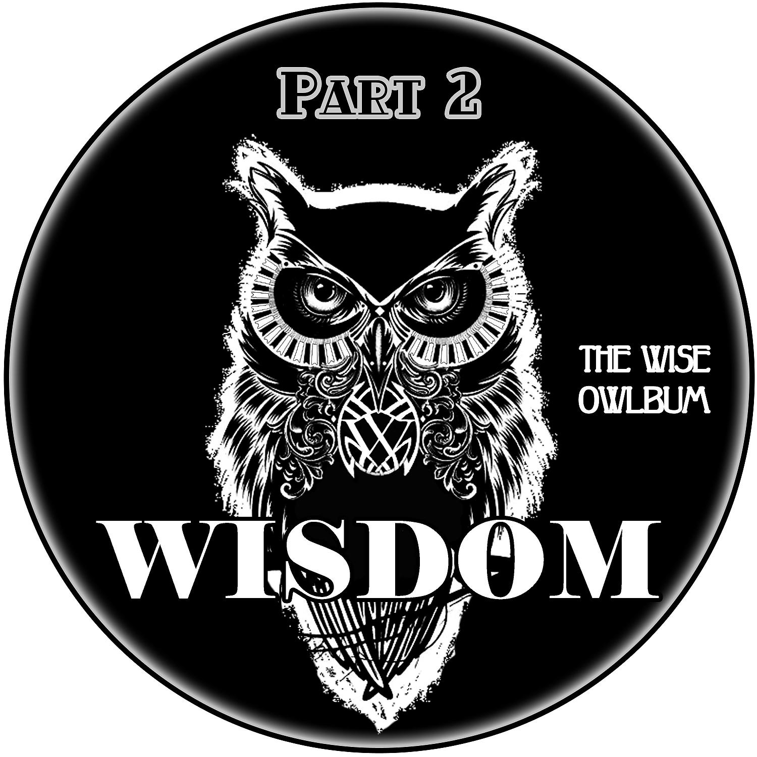 Постер альбома The Wise Owlbum, Pt. 2