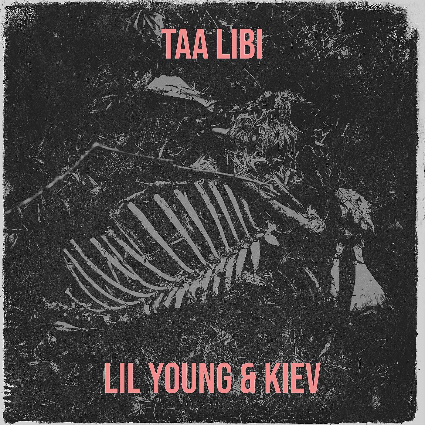 Постер альбома Taa Libi