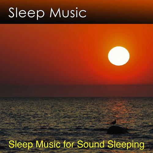 Постер альбома Sleep Music for Sound Sleeping