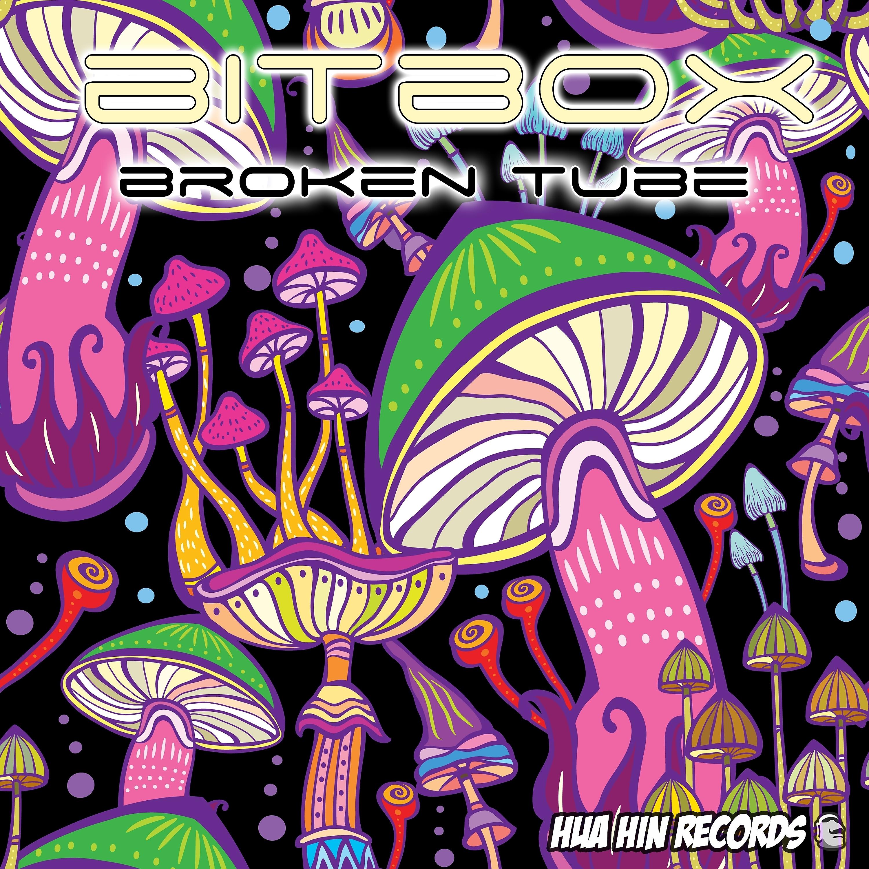 Постер альбома Broken Tube