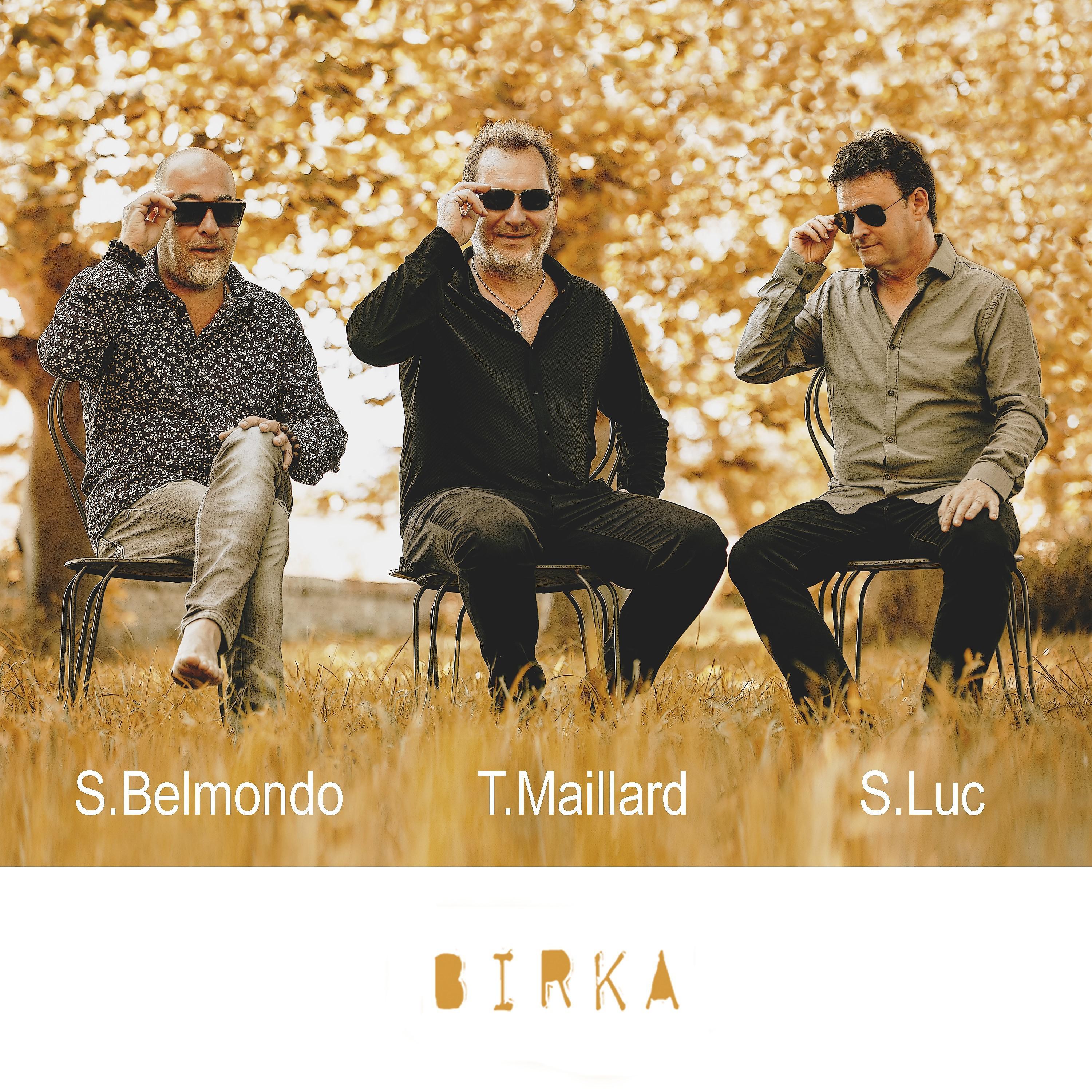 Постер альбома Birka
