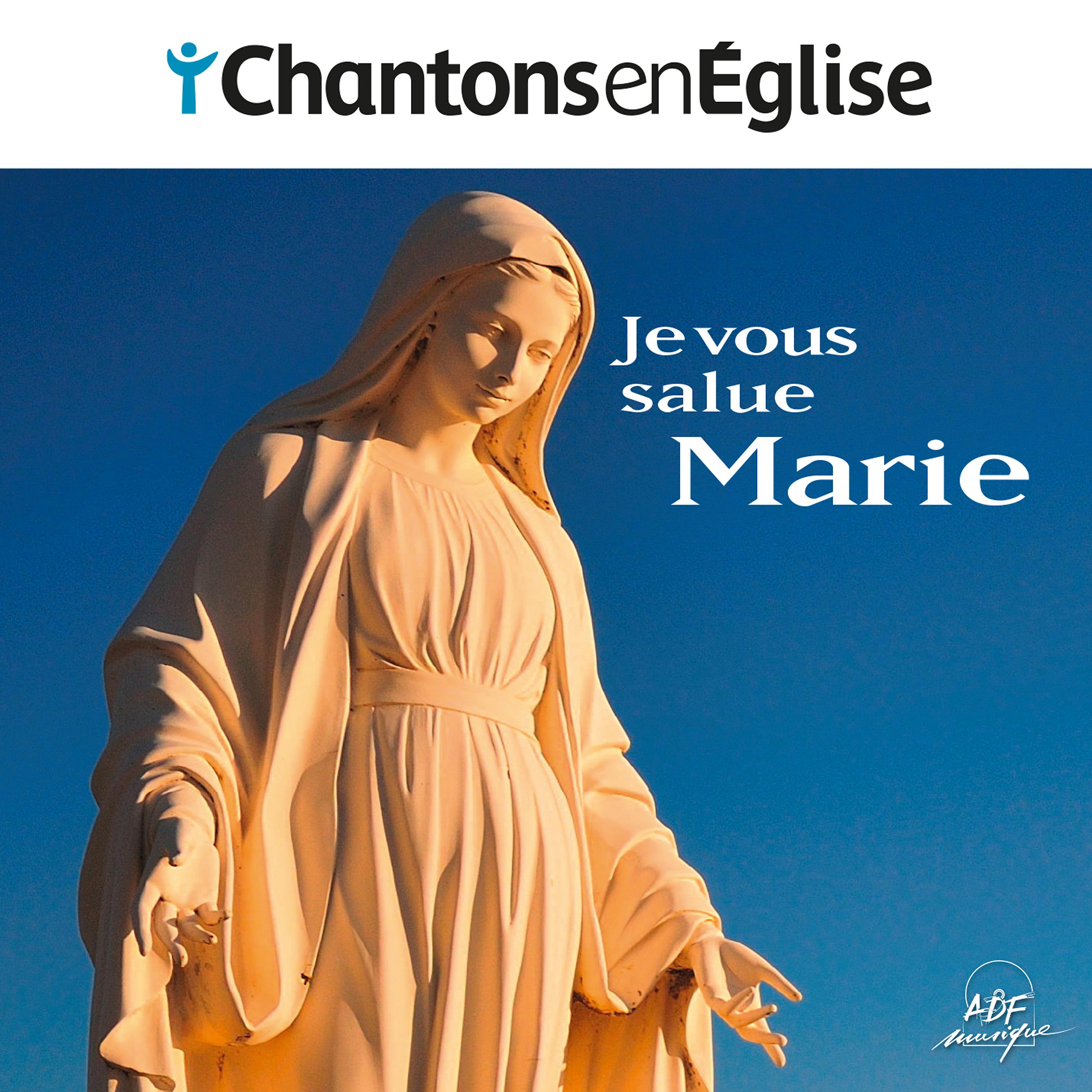 Постер альбома Chantons en Église - Je vous salue, Marie