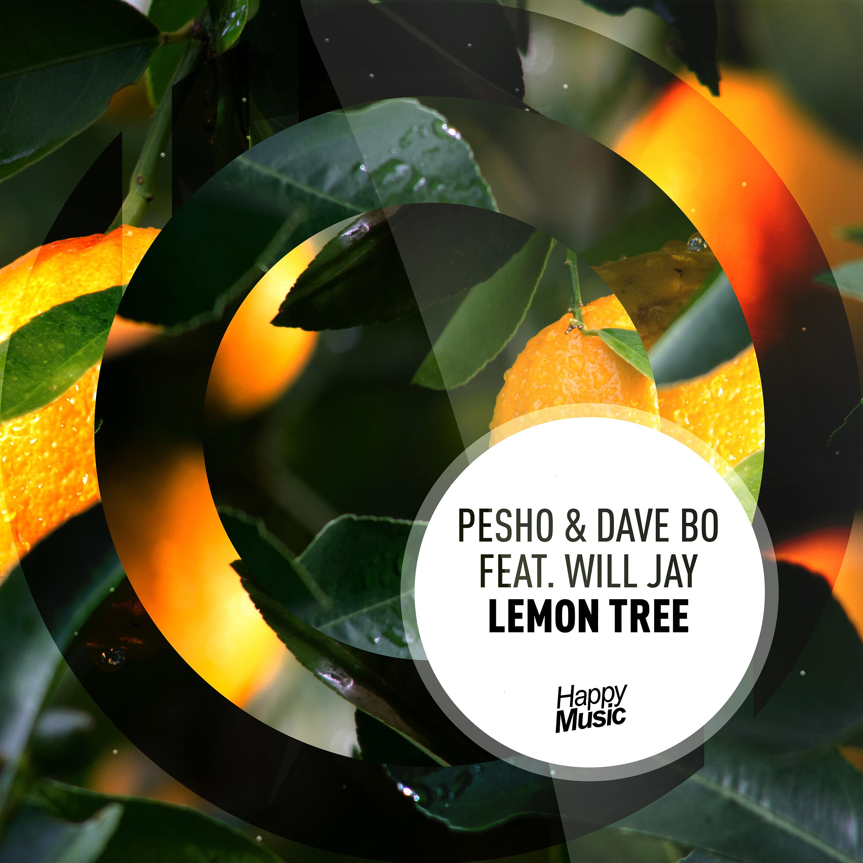 Постер альбома Lemon Tree