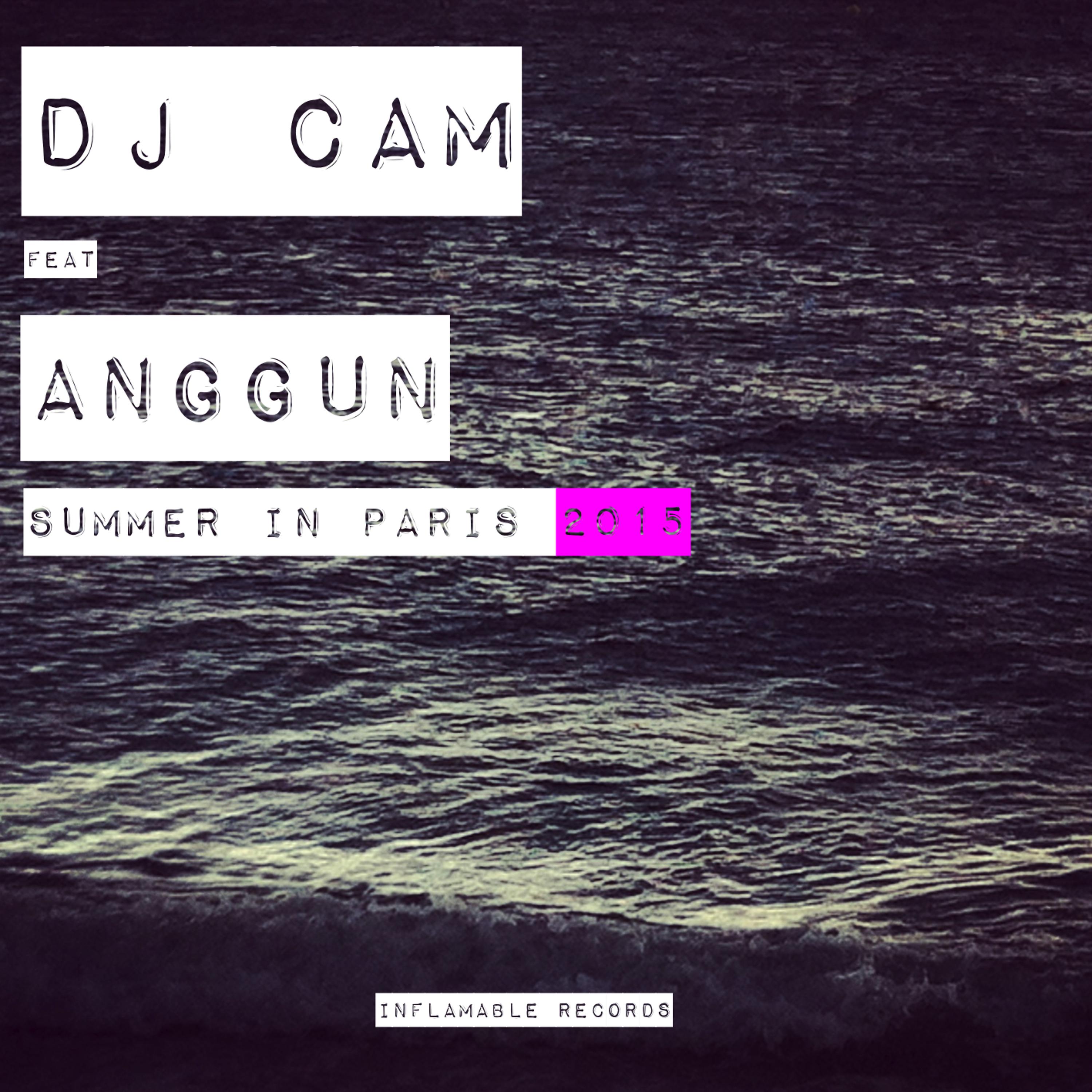 Постер альбома Summer in Paris 2015