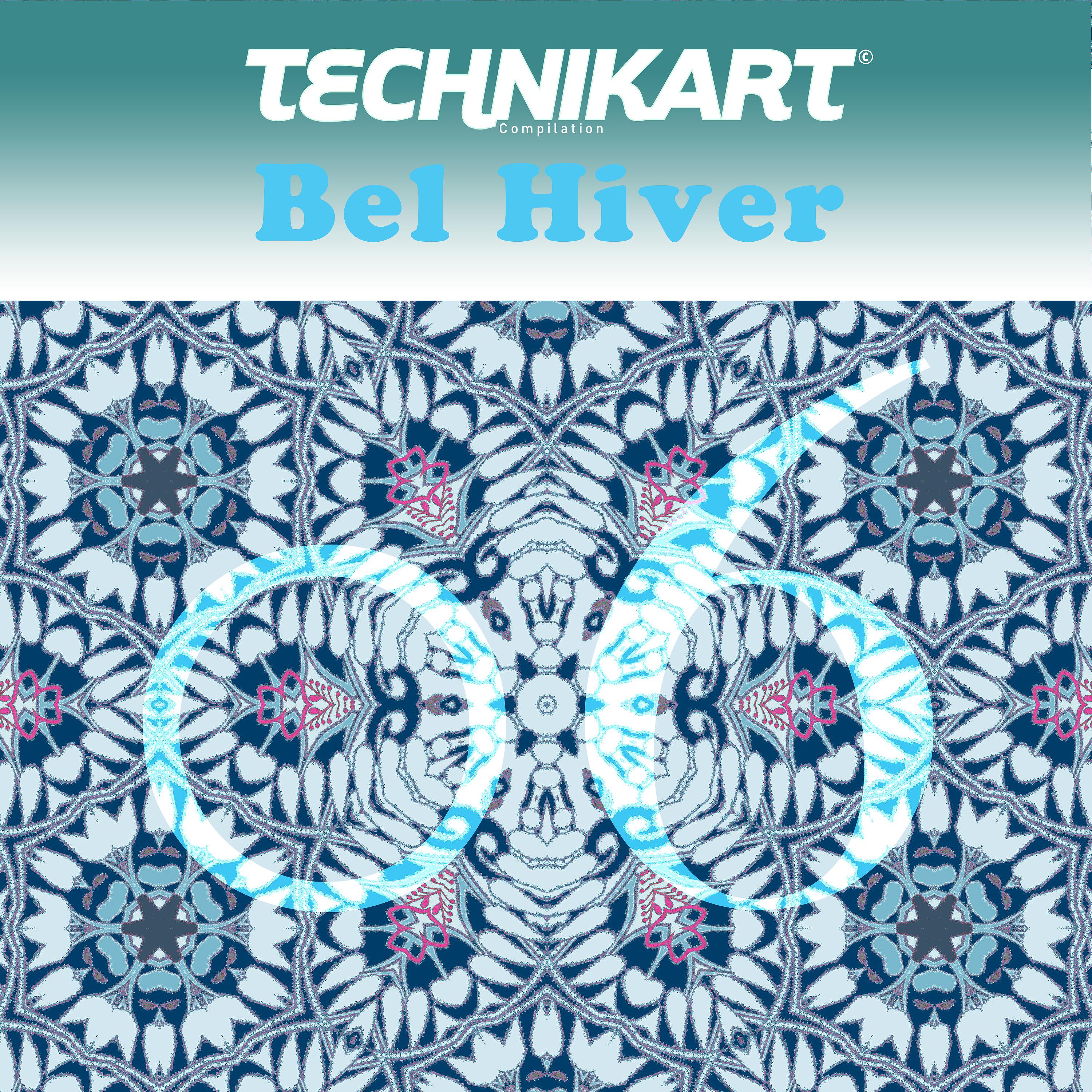 Постер альбома Technikart 06 - Bel Hiver