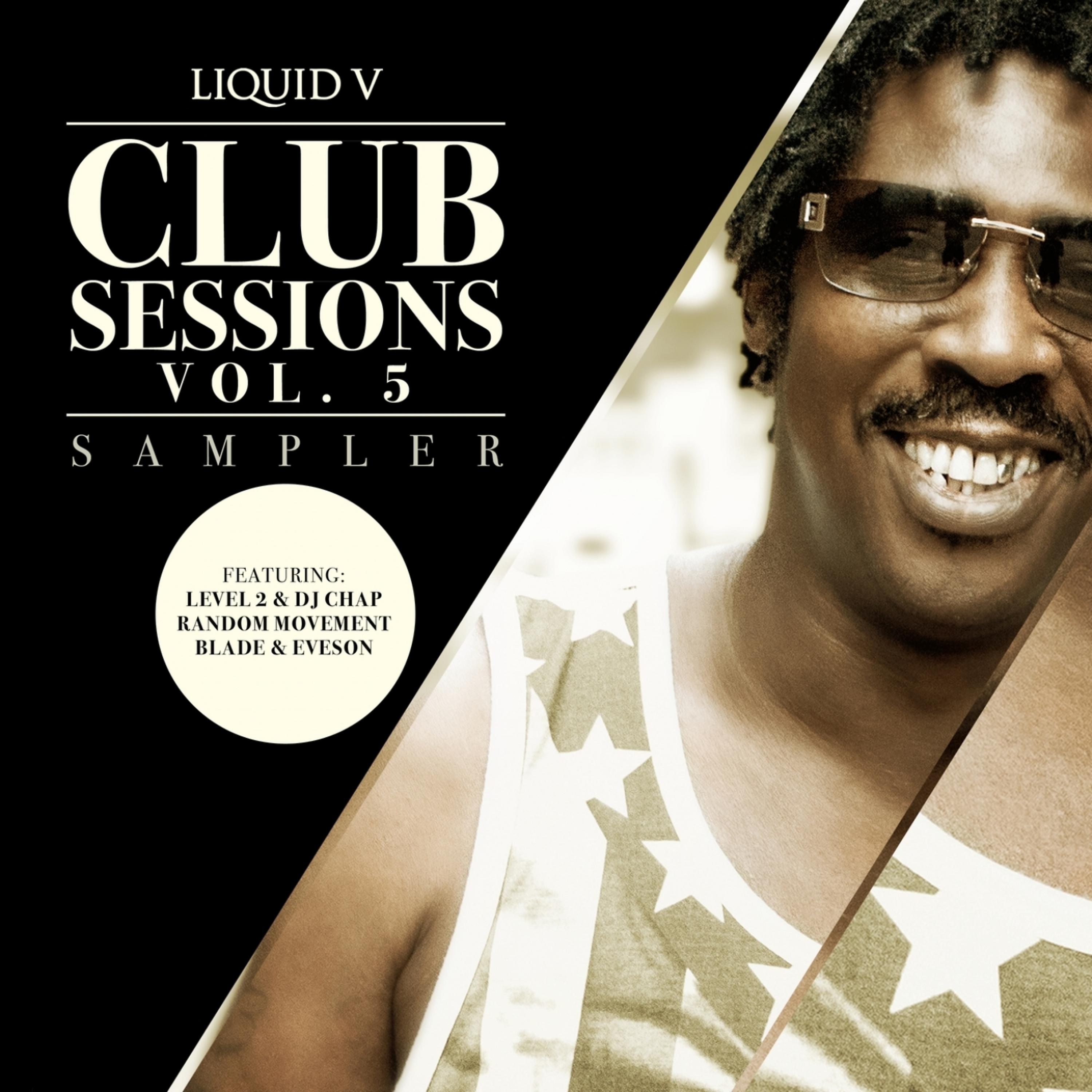 Постер альбома Liquid V Club Sessions, Vol. 5