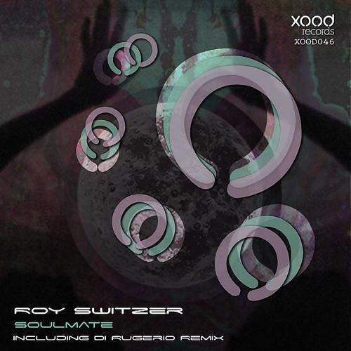 Roy Switzer - Nobody Sleeps Tonight (Di Rugerio Remix)