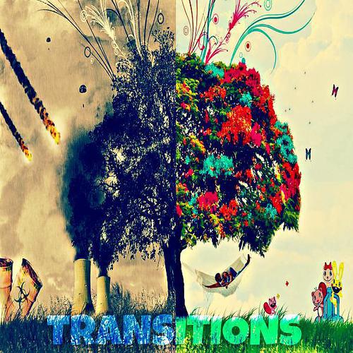 Постер альбома Transitions