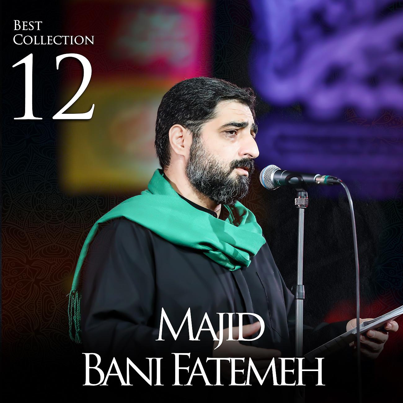 Постер альбома Best of Majid Bani Fatemeh Vol.12