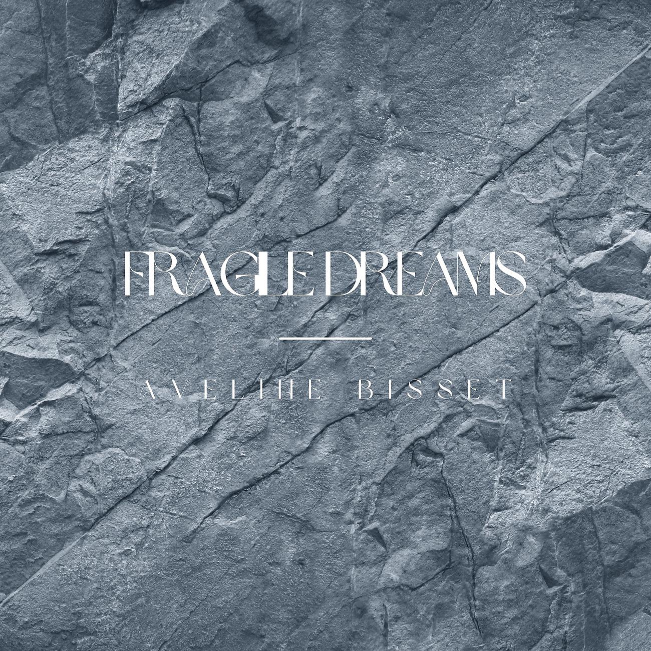 Постер альбома Fragile Dreams