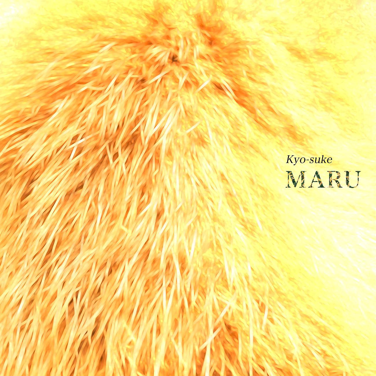 Постер альбома MARU
