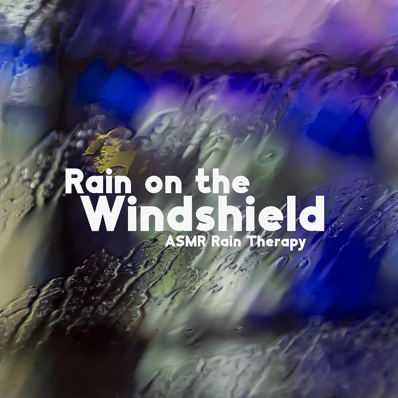 Постер альбома Rain on the Windshield