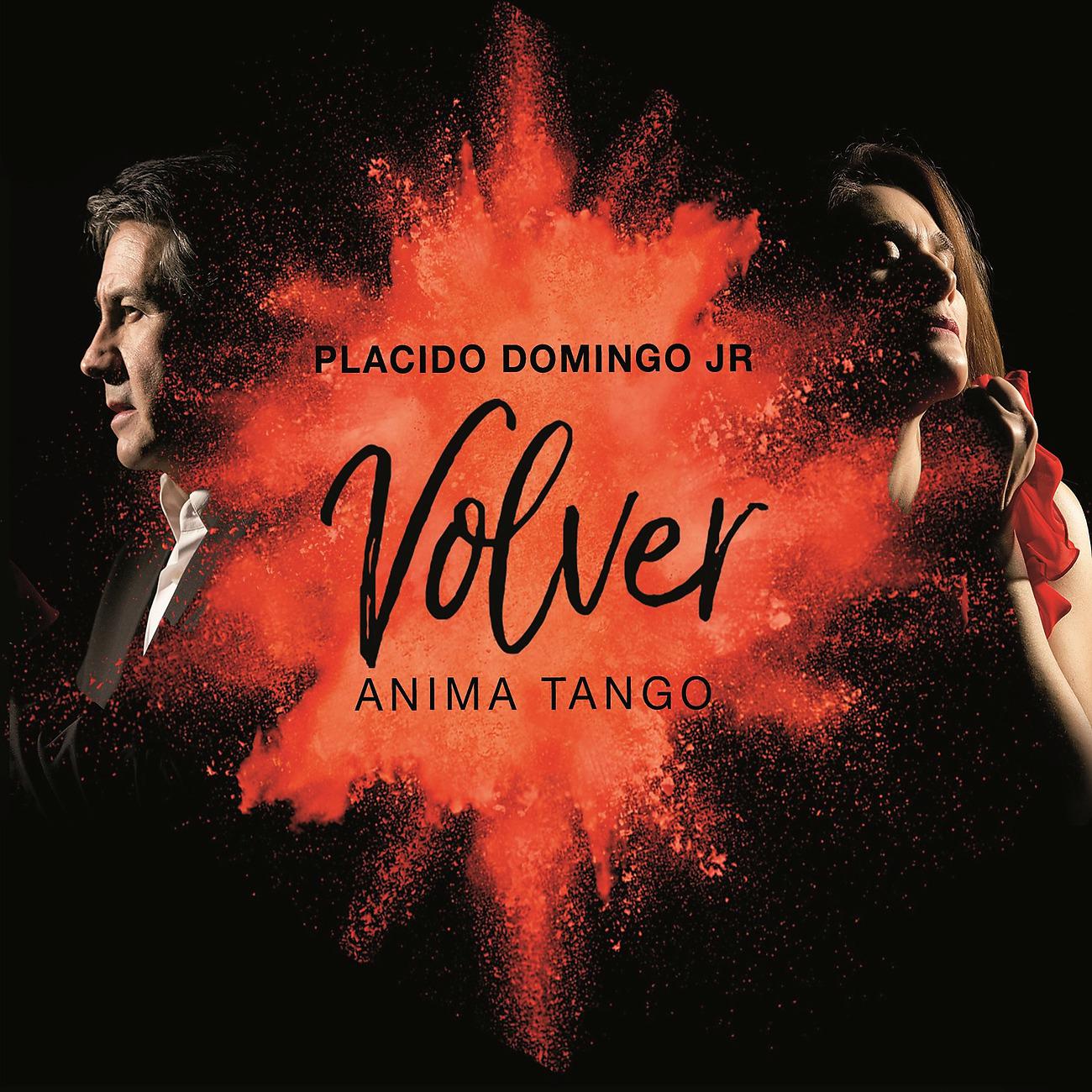 Постер альбома Volver Anima Tango