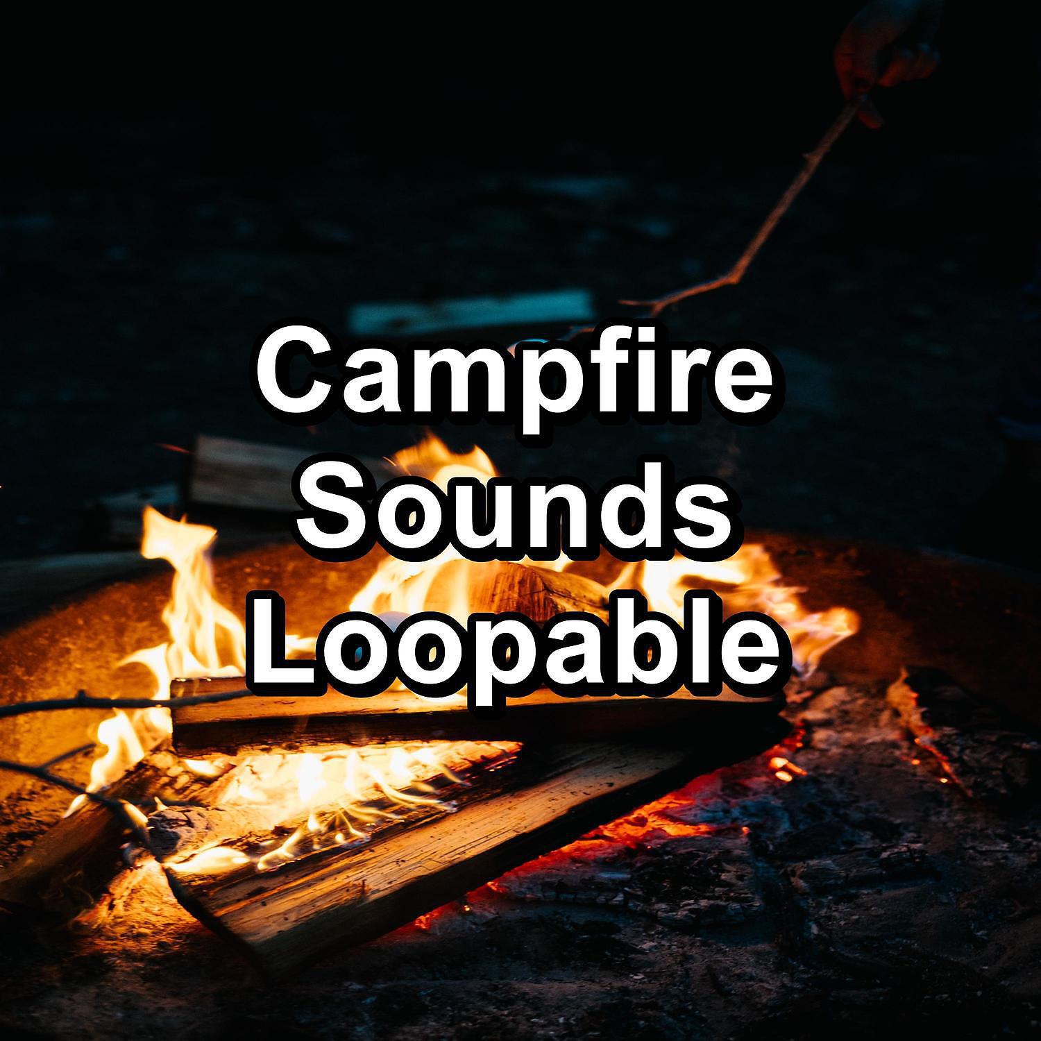Focusity - Fireplace Music
