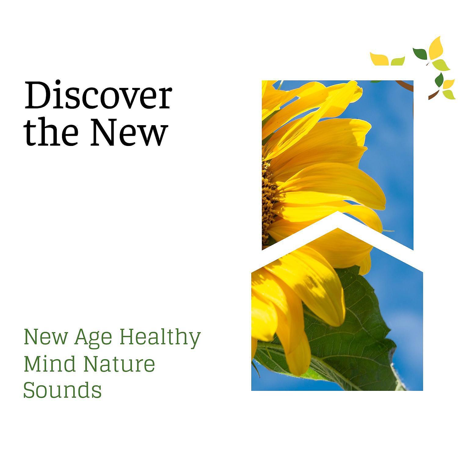 Постер альбома Discover the New - New Age Healthy Mind Nature Sounds