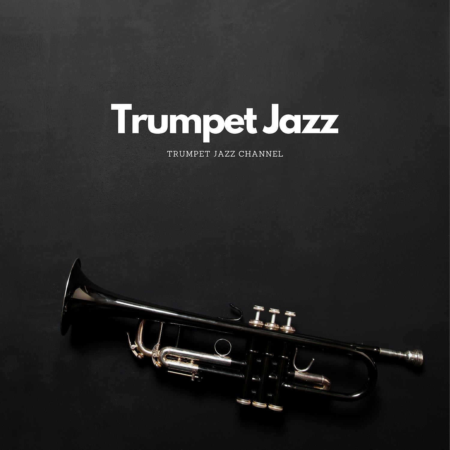 Постер альбома Trumpet Jazz