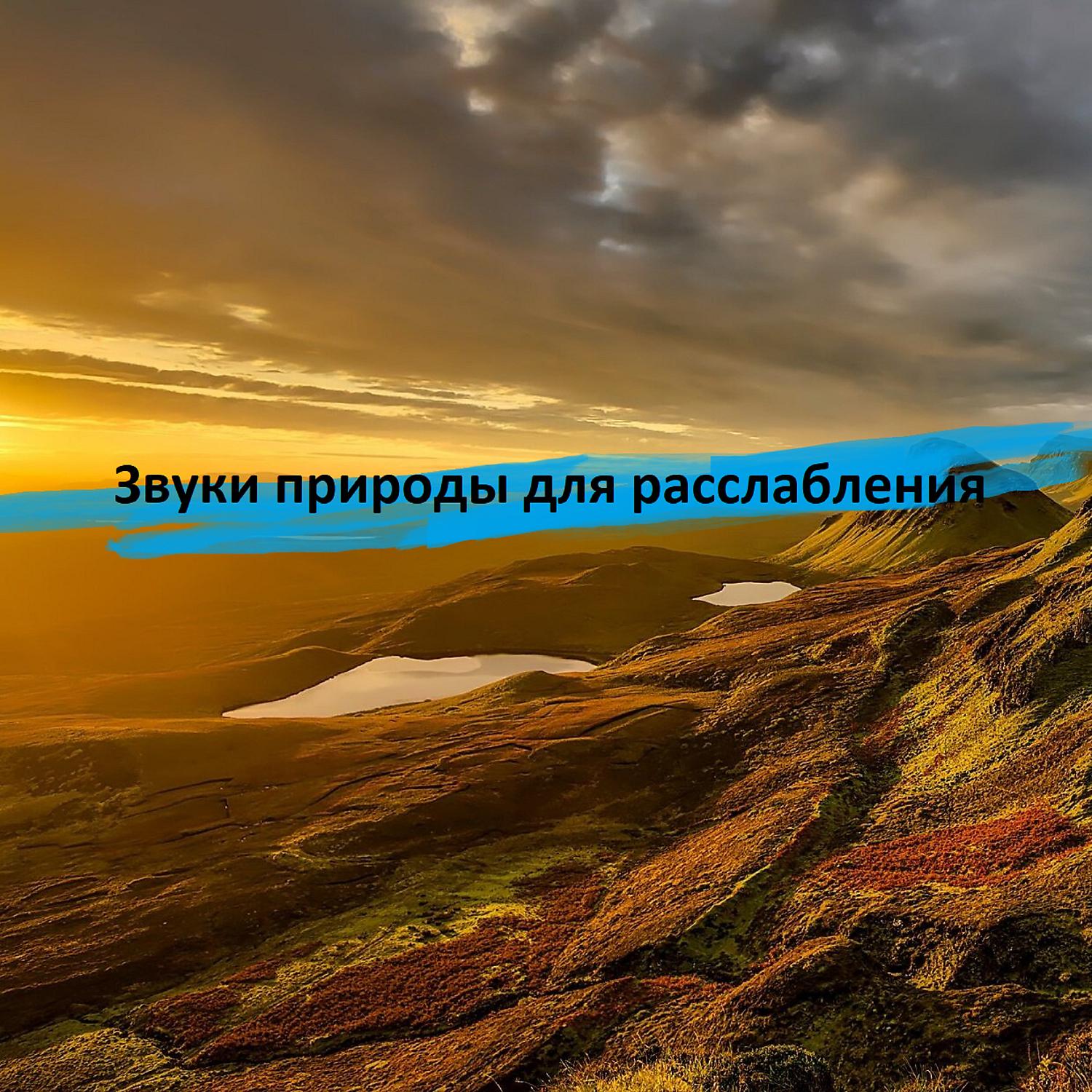 Звуки природы - Тропический лес с песчаным пляжем: звуки природы