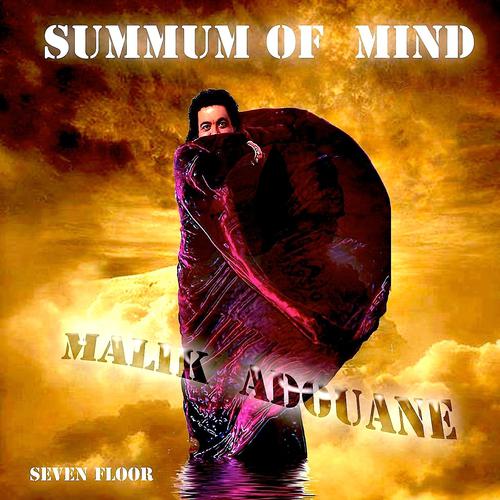 Постер альбома Summum of Mind (Seven Floor)