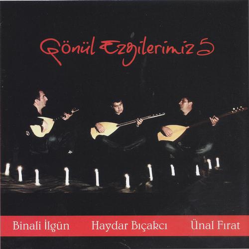 Постер альбома Gönül Ezgilerimiz, Vol. 5