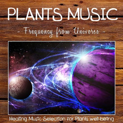 Постер альбома Plants Music: Frequency from Universe