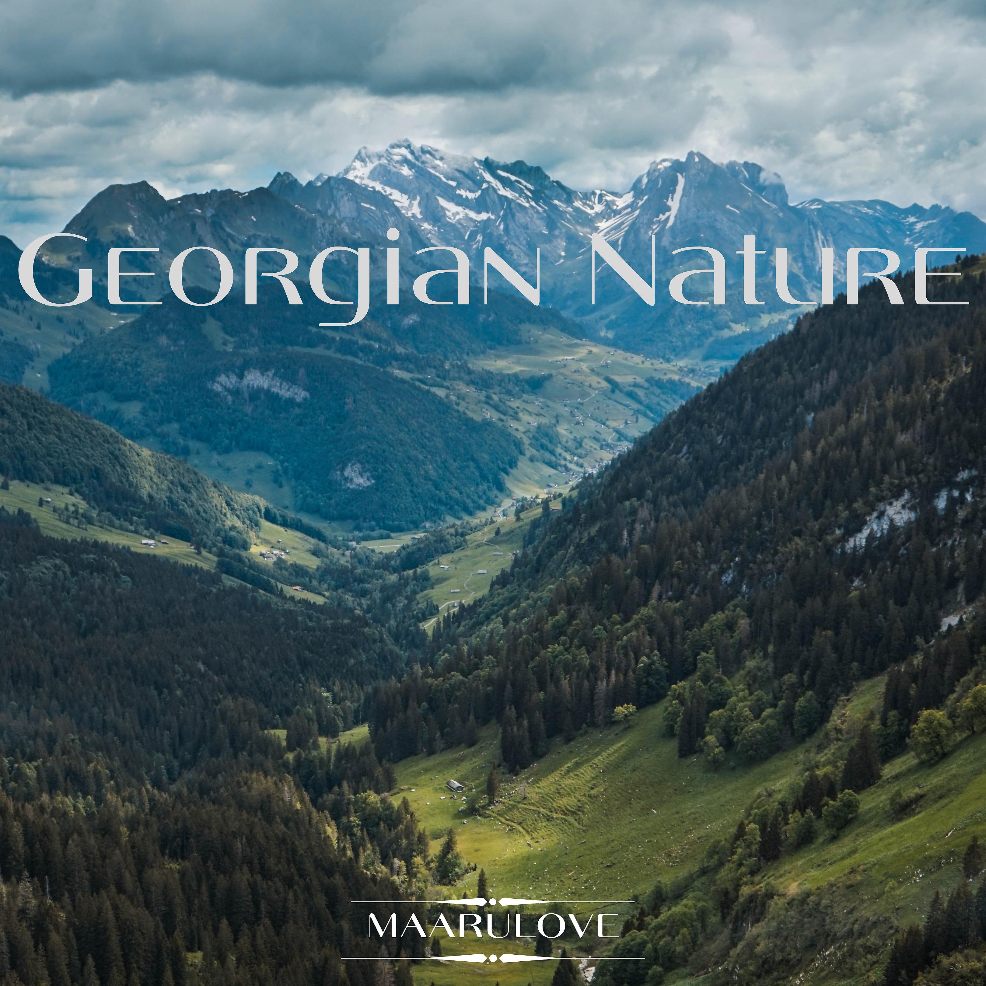 Постер альбома Georgian Nature