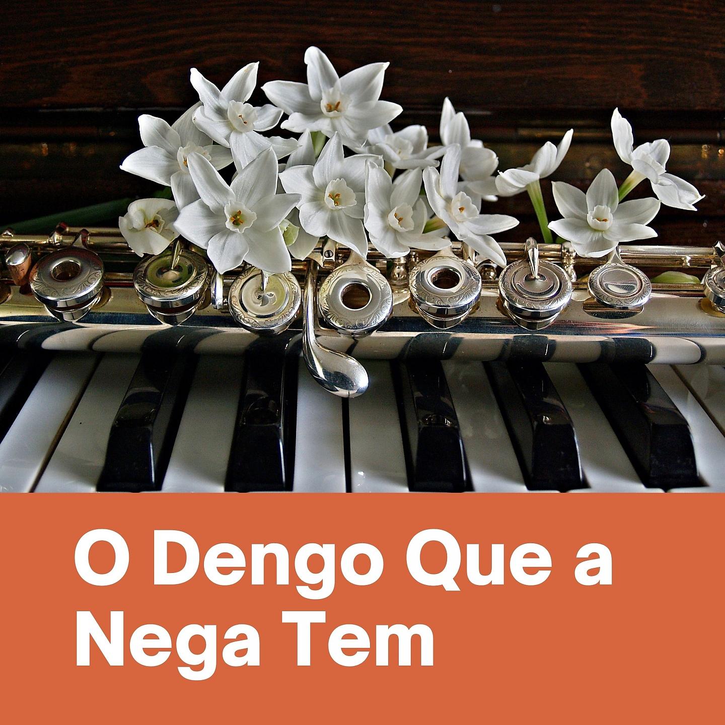 Постер альбома O Dengo Que a Nega Tem