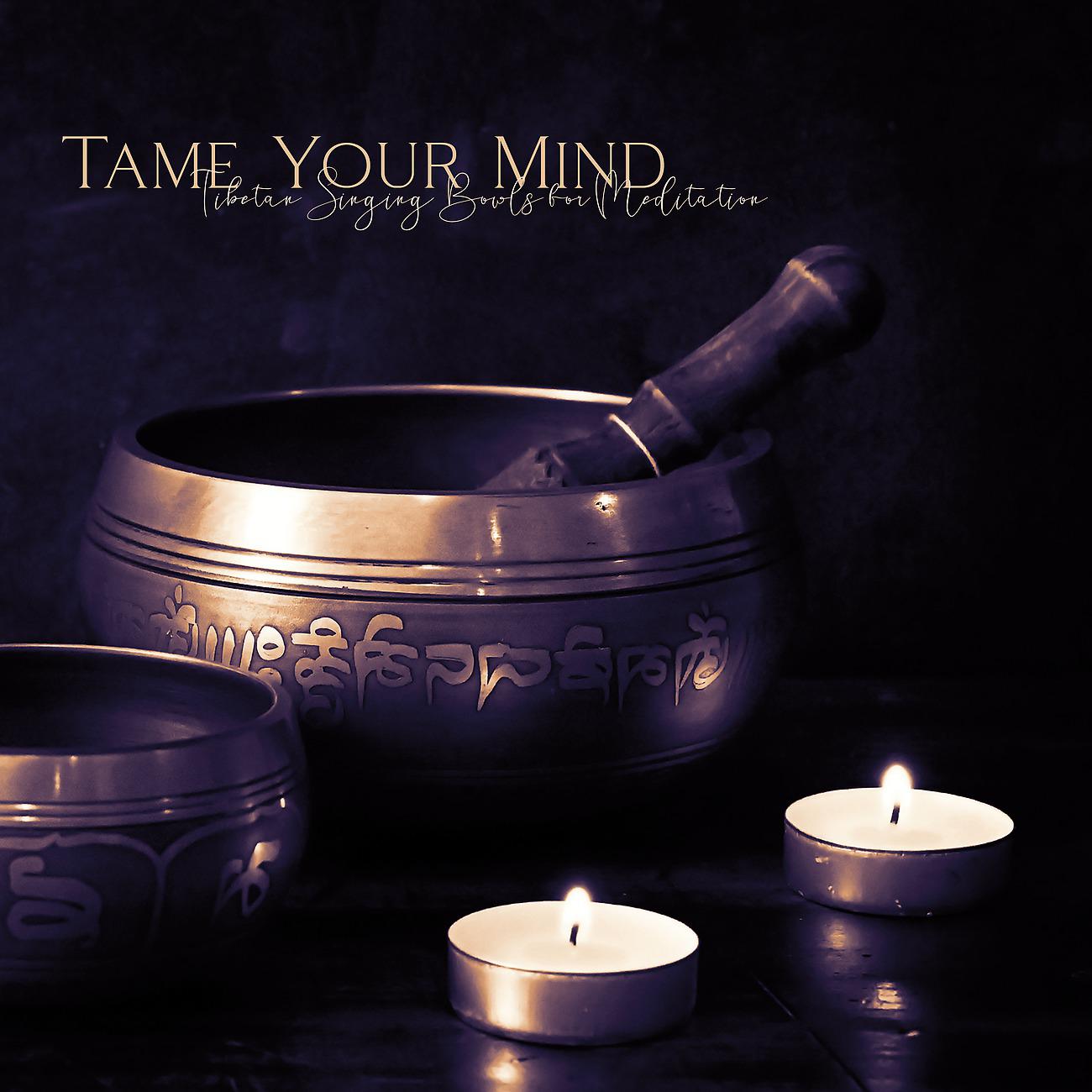 Постер альбома Tame Your Mind