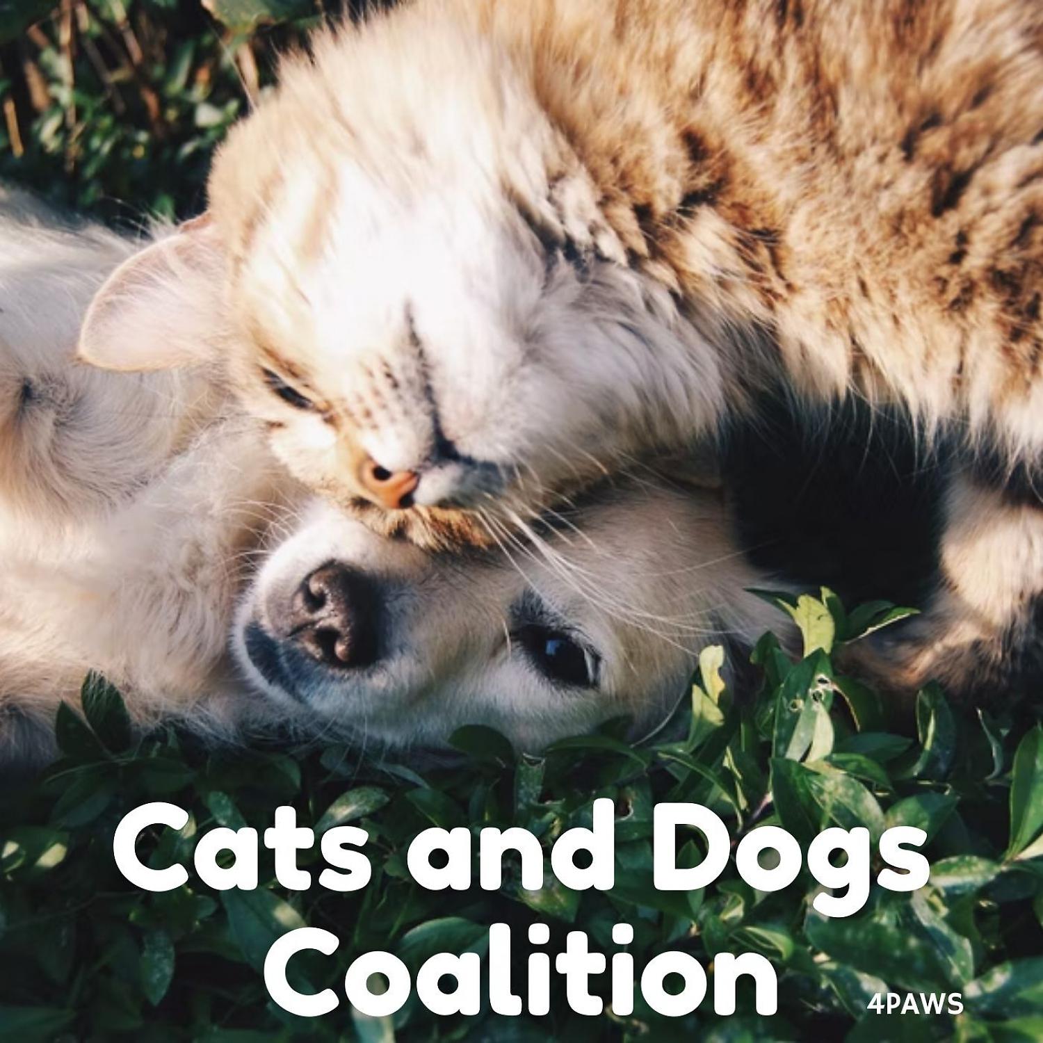 Постер альбома 4Paws: Cats and Dogs Coalition