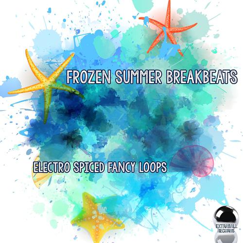 Постер альбома Frozen Summer Breakbeats