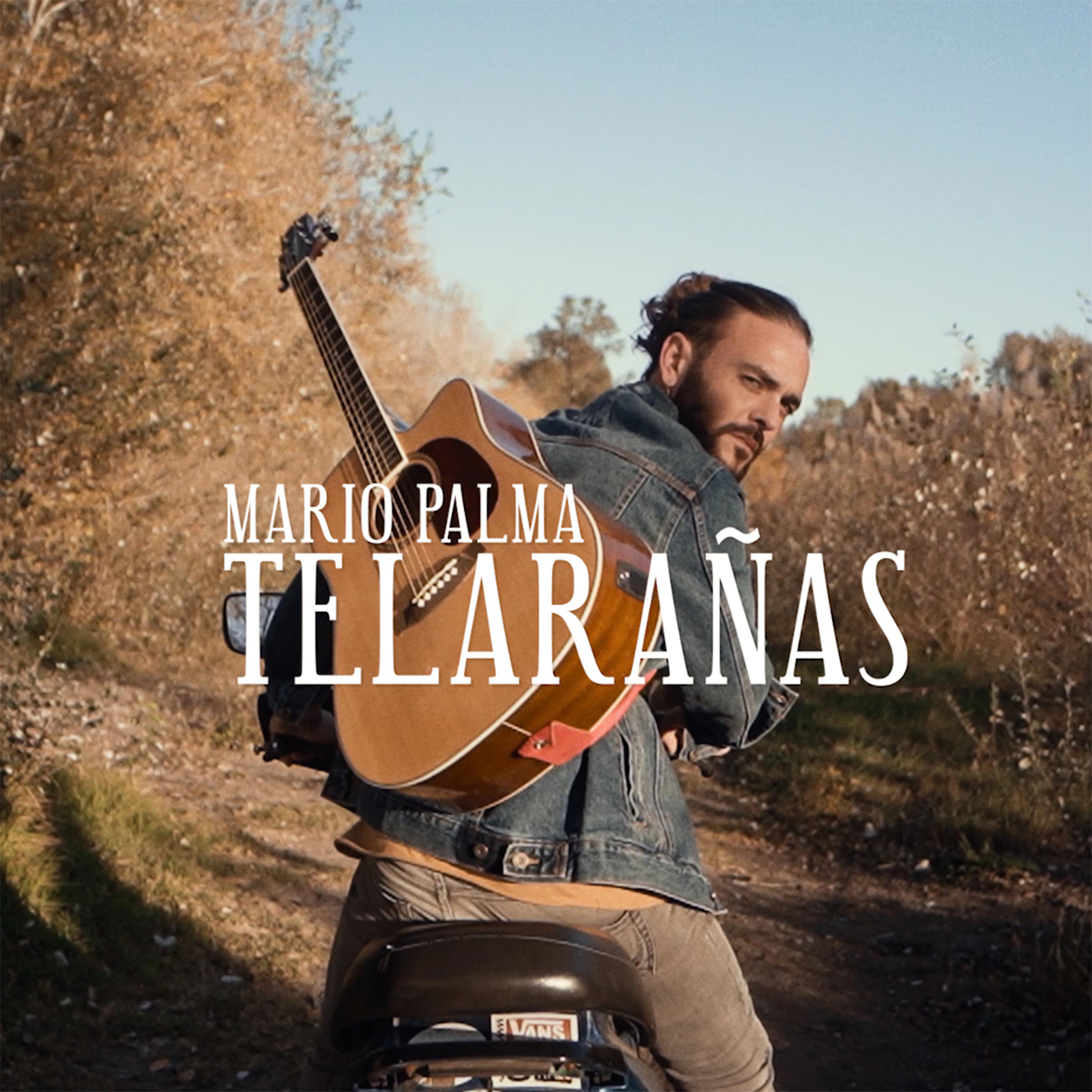 Постер альбома Telarañas