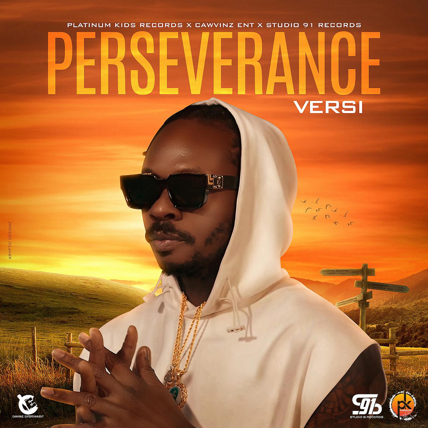Постер альбома Perseverance