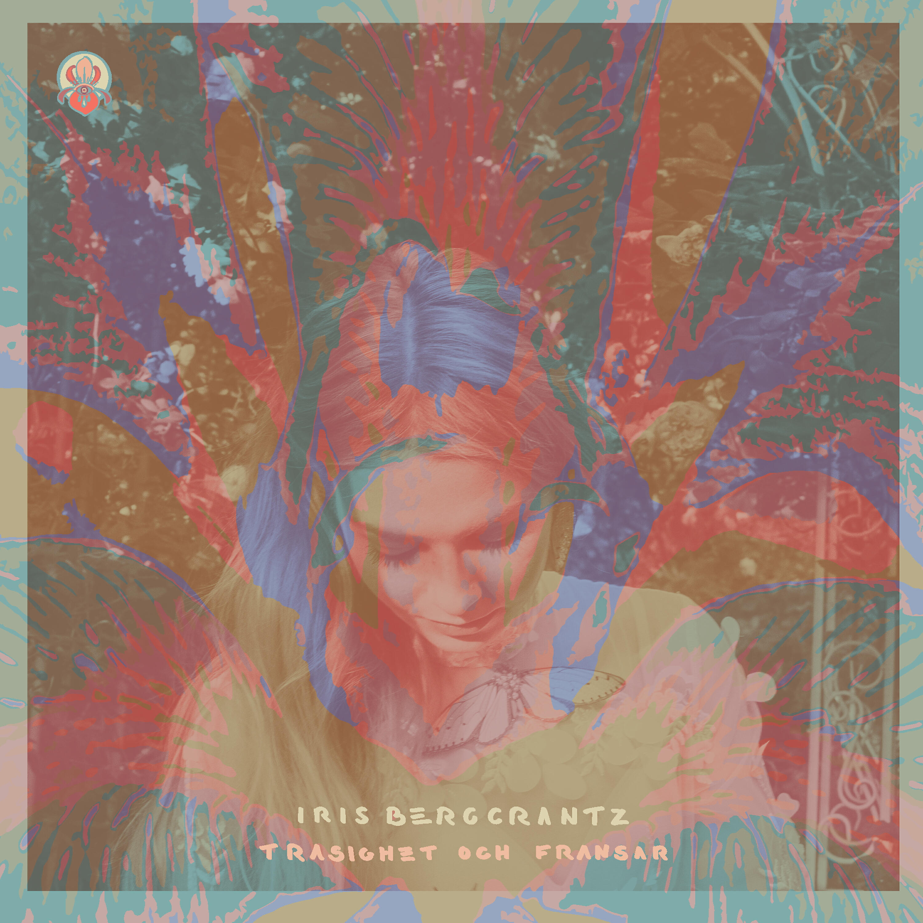 Iris Bergcrantz - Kanske du ville ha mig då