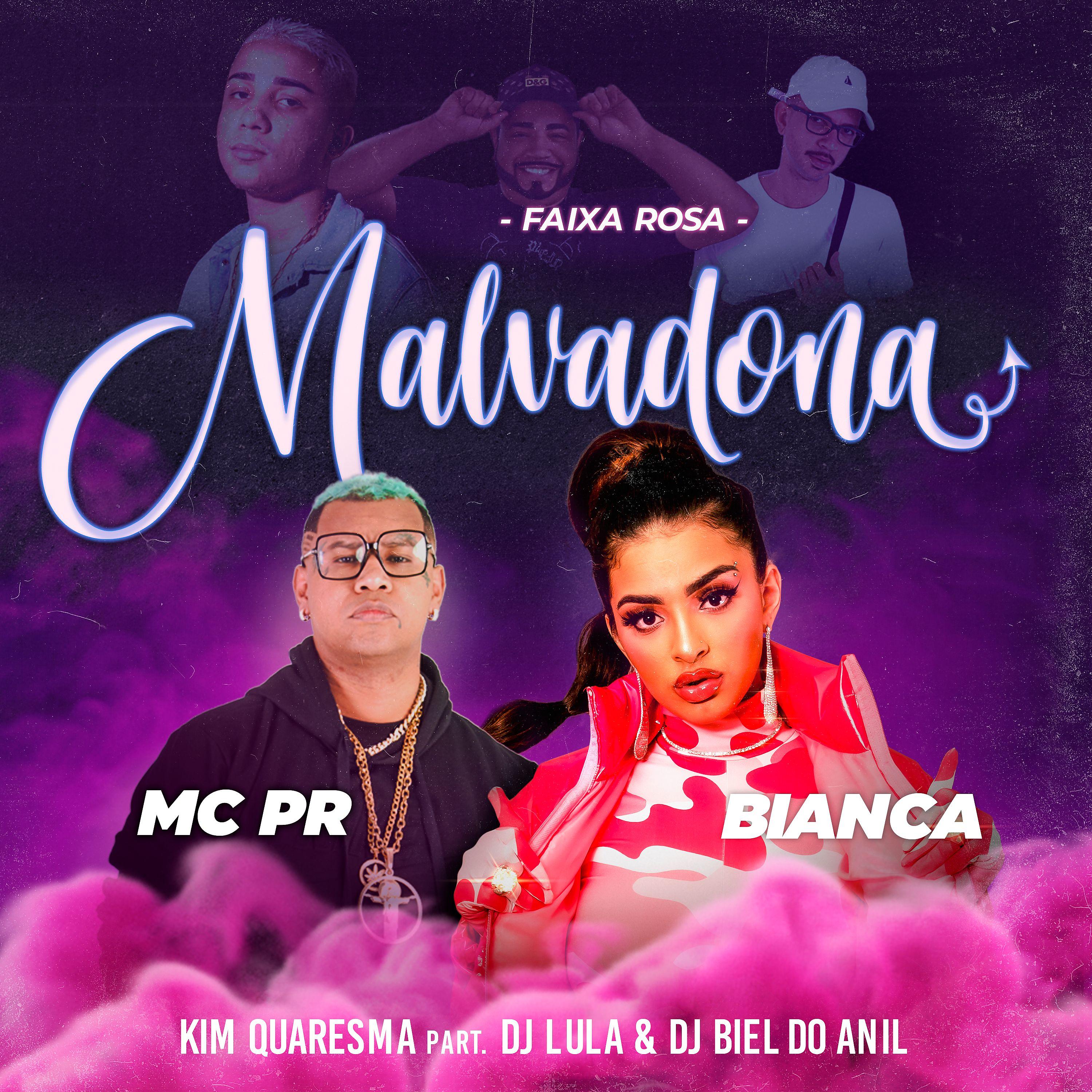 Постер альбома Faixa Rosa Malvadona