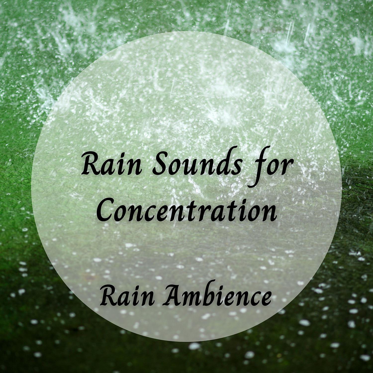 Постер альбома Rain Ambience: Rain Sounds for Concentration
