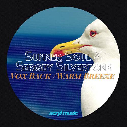 Sunner Soul - Vox Back Kyka & Chris Mil Remix