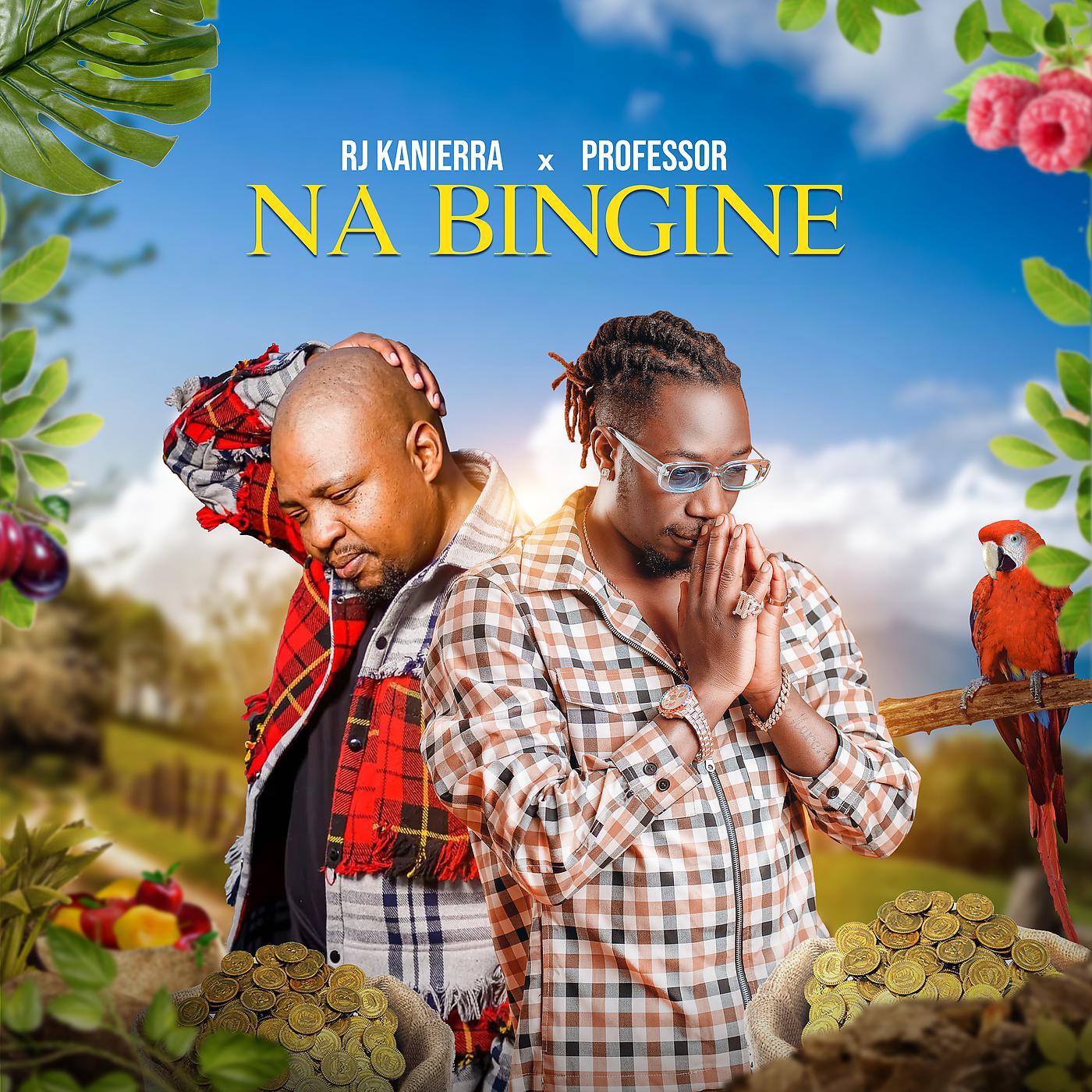 Постер альбома Na bingine