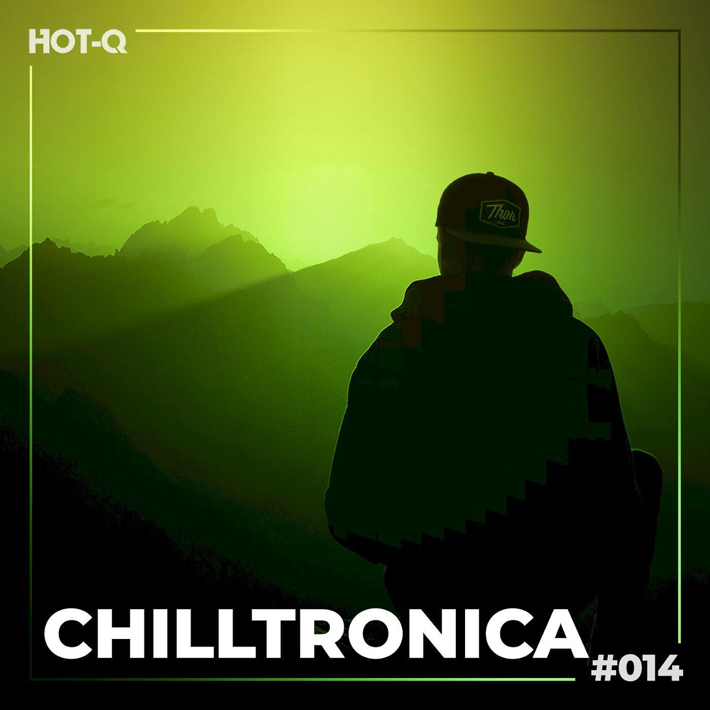 Постер альбома Chilltronica 014