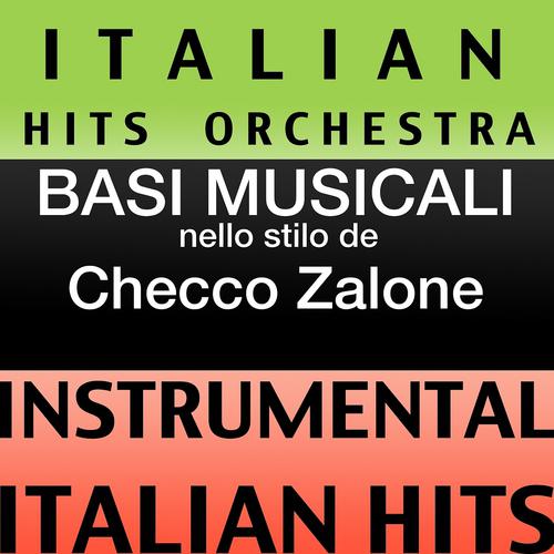 Постер альбома Basi musicale nello stilo dei checco zalone (instrumental karaoke tracks)