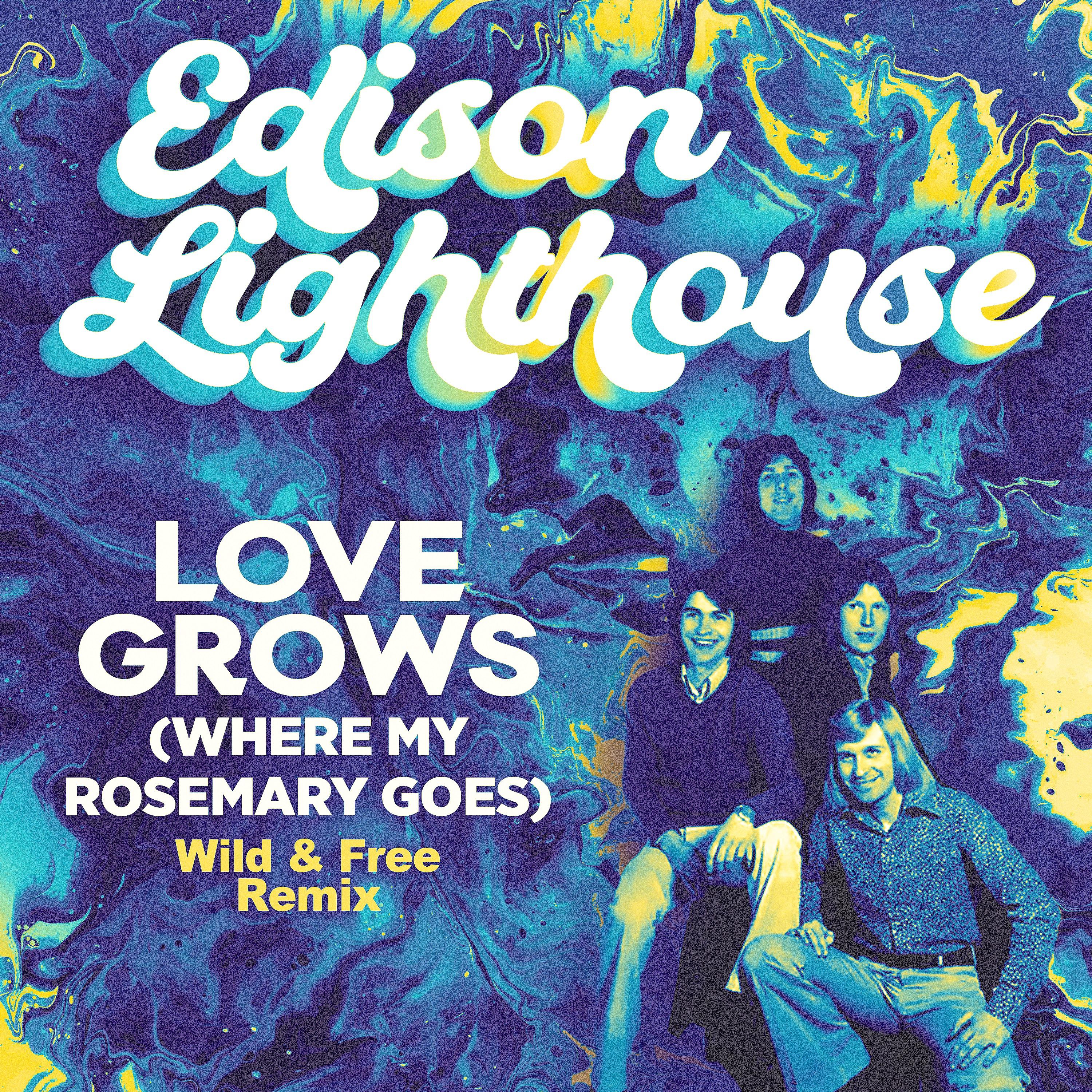 Постер альбома Love Grows (Where My Rosemary Goes) (Wild & Free Remix)
