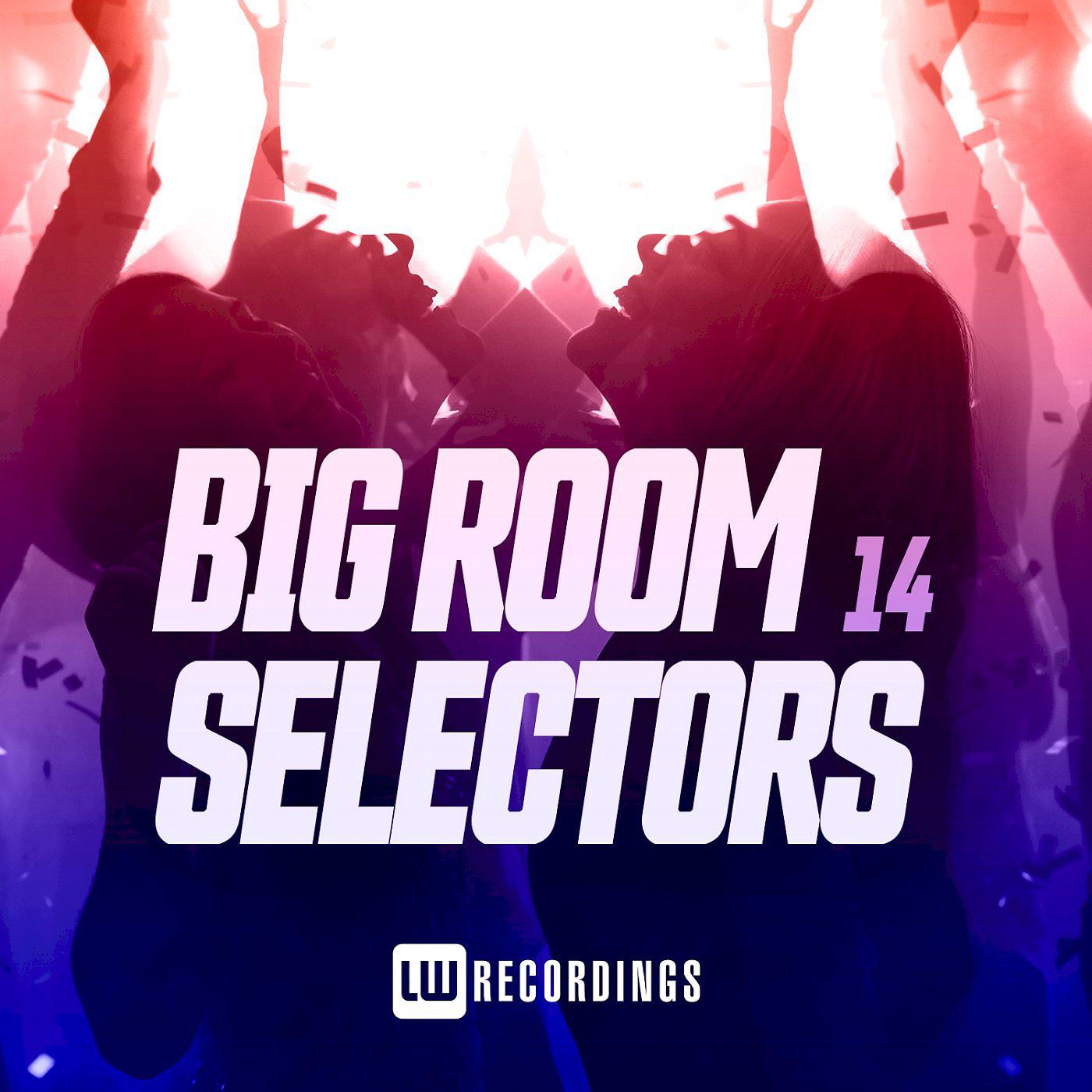 Постер альбома Big Room Selectors, 14