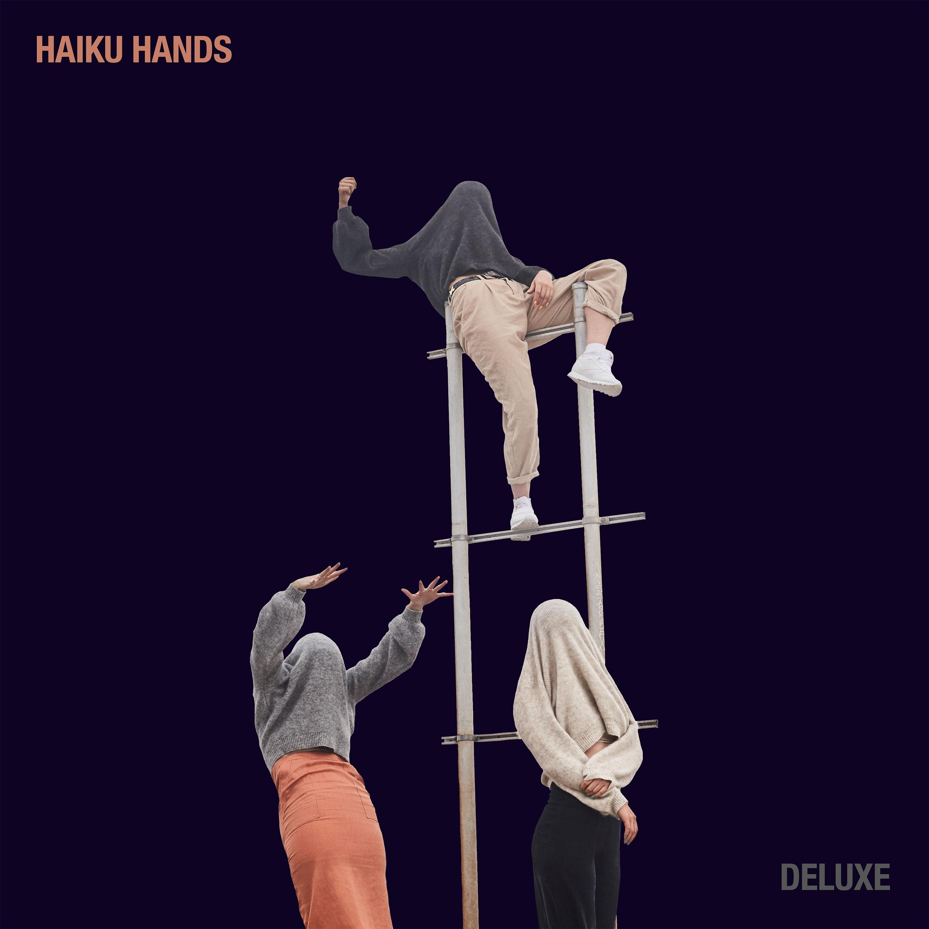 Постер альбома Haiku Hands