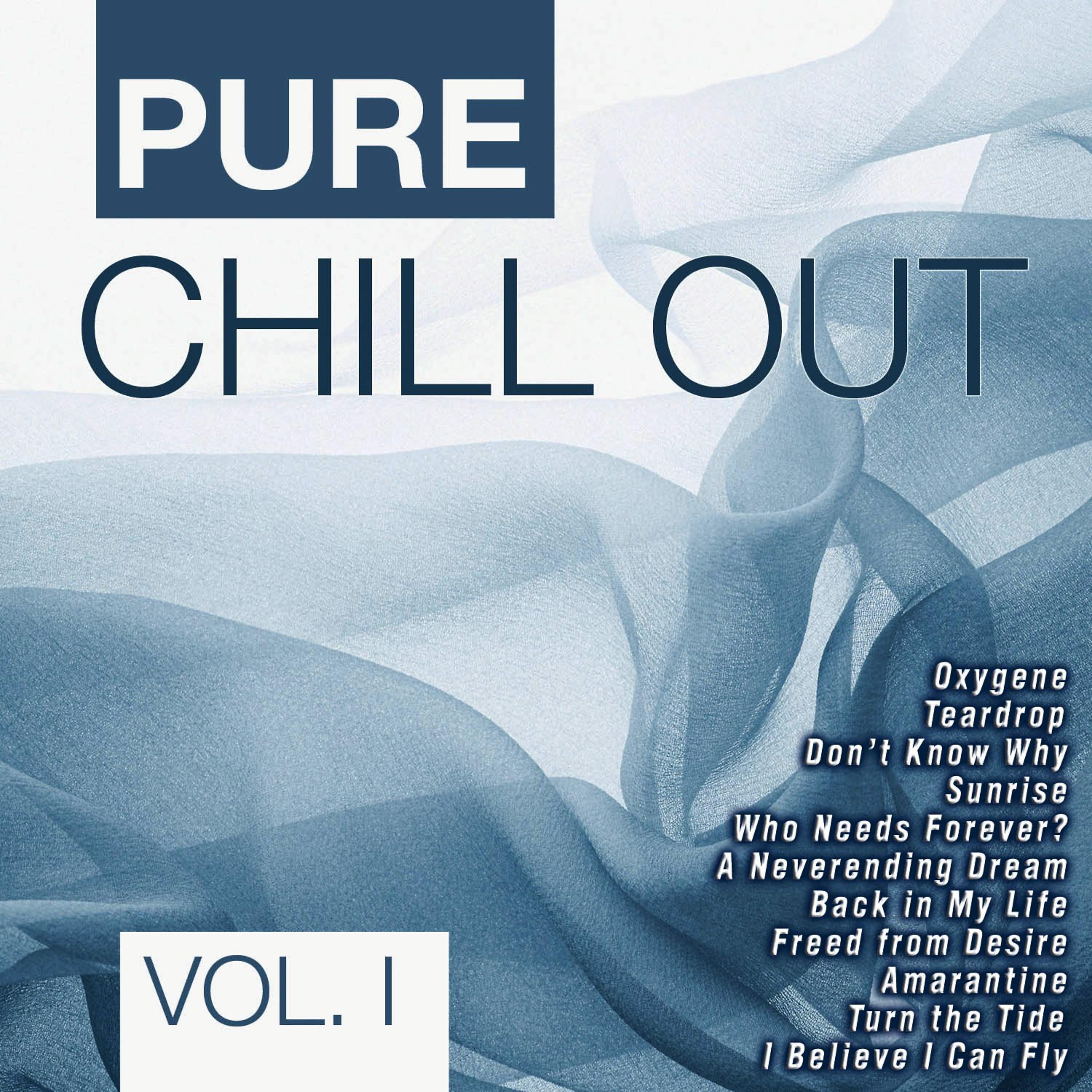 Постер альбома Pure Chill Out Vol. 1