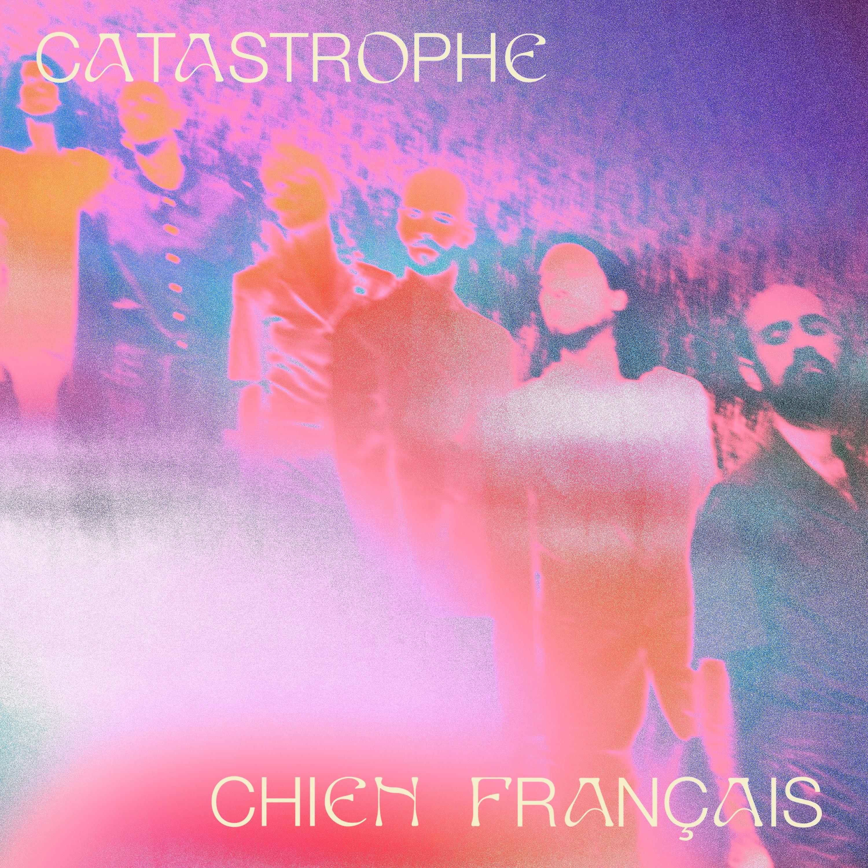 Постер альбома Chien Français